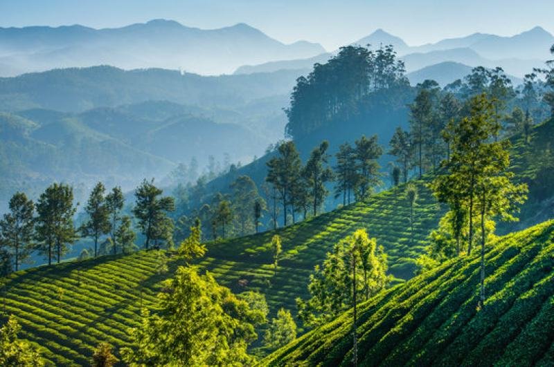 SPLENDID SIKKIM